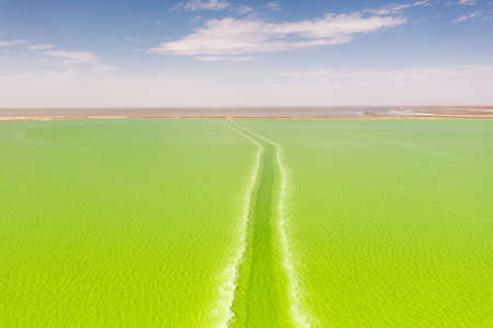 The green saline lake, natural lake background. Photo in Qinghai, China.の写真素材