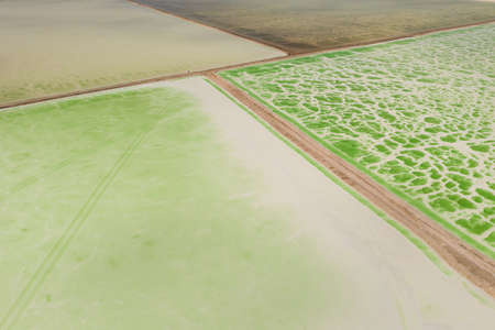 The green saline lake, natural lake background. Photo in Qinghai, China.