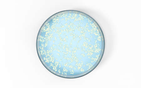 The germs in the petri dish, 3d rendering. Computer digital drawing.