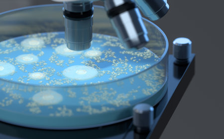 The germs in the petri dish, 3d rendering. Computer digital drawing.