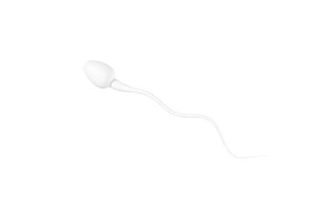 Human sperm cells, 3d rendering. Computer digital drawing.