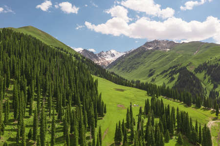 Nalati grassland with the blue sky. Shot in Xinjiang, China.の写真素材