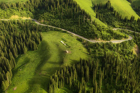 Mountains and forest In an aerial view. Shot in xinjiang, China.の写真素材