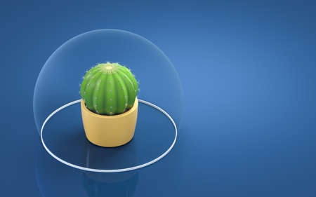 Cactus and blue background, 3d rendering. Computer digital drawing.の写真素材