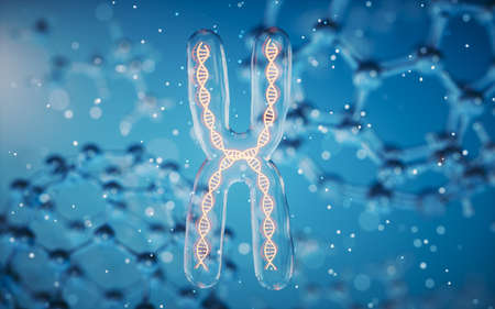 Chromosome with molecule background, 3d rendering. Computer digital drawing.の写真素材