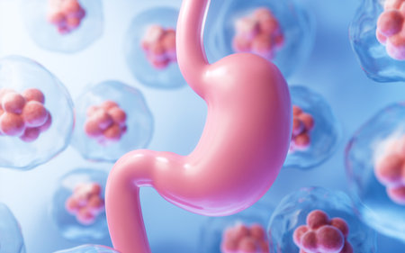 Human stomach and cell background, 3d rendering. 3D illustration.の写真素材