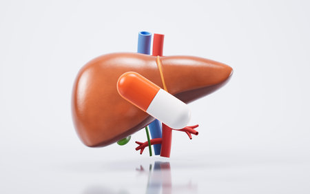 Liver organ with health care concept, 3d rendering. 3D illustration.の写真素材