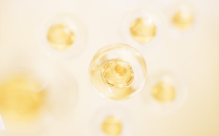 Transparent cell with biotechnology and cosmetic concept, 3d rendering. 3D illustration.の写真素材