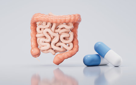 Intestinal tract with digestive health concept, 3d rendering. 3D illustration.の写真素材
