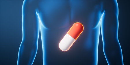 Medicine pill in the transparent human body, 3d rendering. 3D illustration.の写真素材