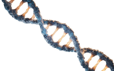 Biological DNA structure with bioengineering concept, 3d rendering. 3D illustration.の写真素材