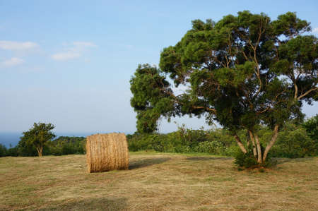 Wheel of hay at Kenting National Park, Taiwanのeditorial素材
