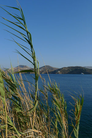Green grass on the coast of Leros island, Greece.の写真素材