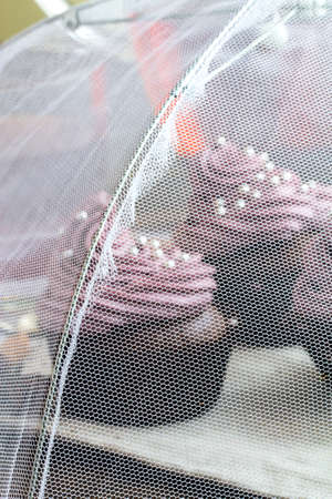 Chocolate cupcakes decorated with purple berries cream and silver sugar balls covered with food safe net umbrellaの写真素材