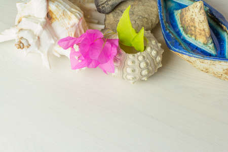 seashells on white table with ceramic boat and bougainvillaeaの写真素材