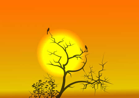 Sunrise and a beautiful golden light.のイラスト素材