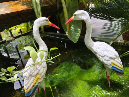 Pelicans 2, spouses, fish in the pond In the midst of beautiful nature in the garden.の写真素材