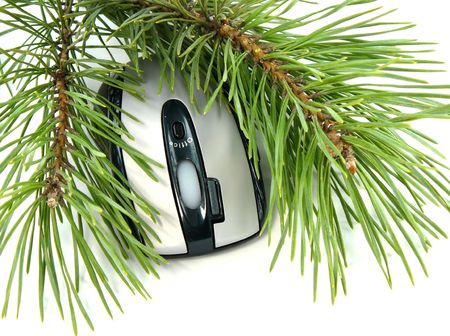 mouse in under branchの写真素材