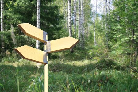 Wooden direction sign in forest.