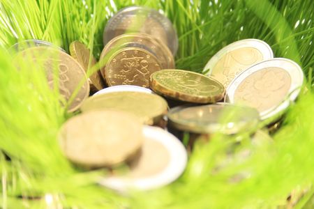 Money in grass. Euro coins in green grass.の写真素材