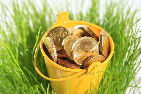 Money in grass. Euro coins in green grass.の写真素材