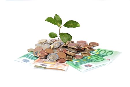 Money and plant. Hand holding euro coin. の写真素材