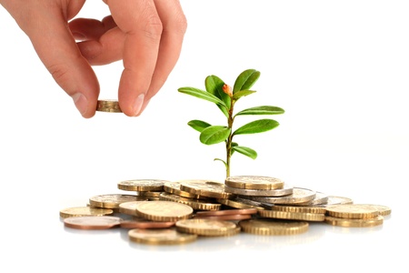 Money and plant isolated over white. Money and plant isolated over white.