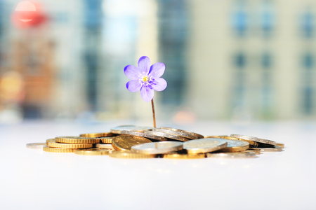 Successful investment. Flower and coins on table.の写真素材