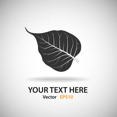 Bodhi Leafのイラスト素材