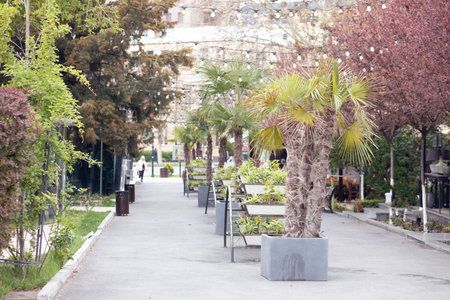 beautiful park and sidewalk in the cityの写真素材