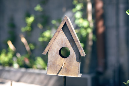 decorative iron bird house