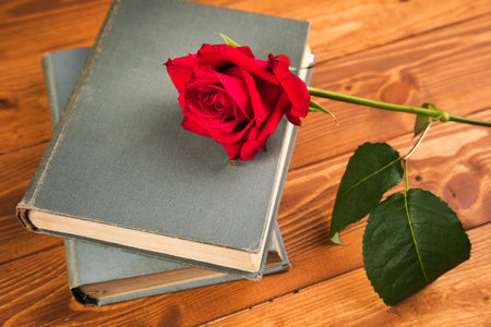 red rose on a book on a wooden backgroundの写真素材