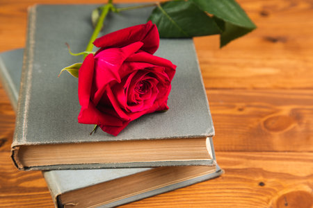 red rose on a book on a wooden backgroundの写真素材