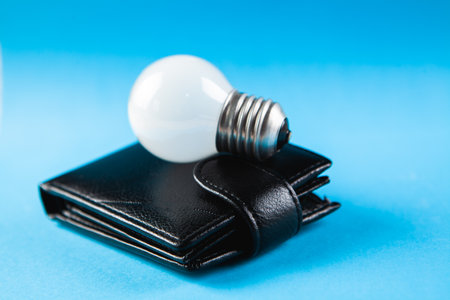 light bulb and wallet on blue backgroundの写真素材