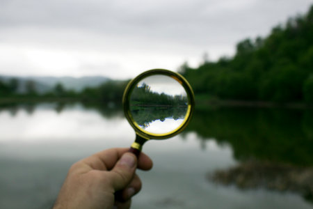magnifying glass looks at the trees by the lake