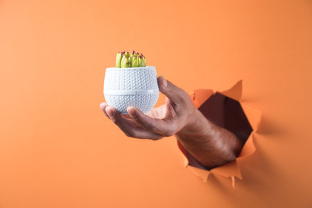 hand holds decorative vase on orange backgroundの写真素材