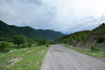 asphalt road goes down the mountainside in the forest in the evening