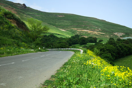 asphalt road goes down the mountainside in the forest in the eveningの写真素材