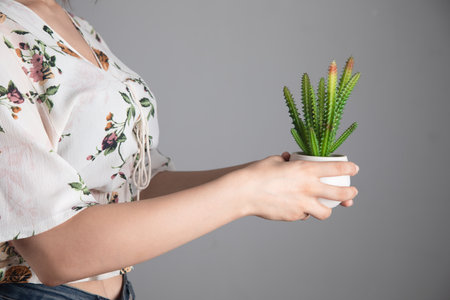woman holding decorative cactus in her handの写真素材