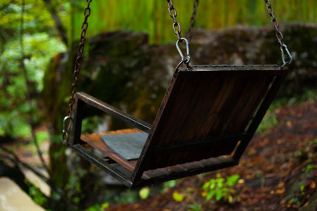 vintage swing in the forest on a chainの写真素材