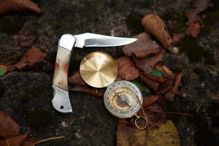 folding knife, leaves and compassの写真素材
