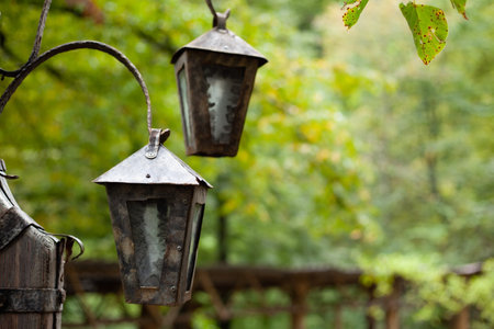 old vintage lantern in the forestの写真素材