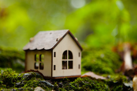 small house on green mossの写真素材