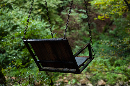 vintage swing in the forest on a chainの写真素材