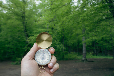 compass on the background of the forest