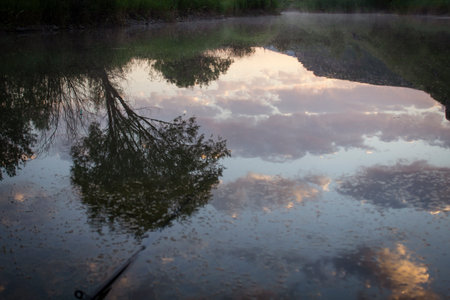 Pond at dawn. Reflection on the water. Fog over the water