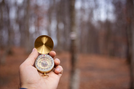 Holds a compass in the background of the forest during the dayの写真素材