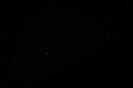 Starry sky and trees at nightの写真素材
