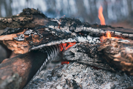 A small fire burns during the dayの写真素材
