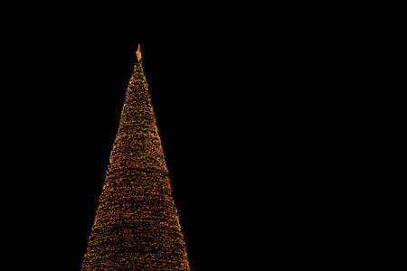 City New Year tree decorated with garlands at nightの写真素材